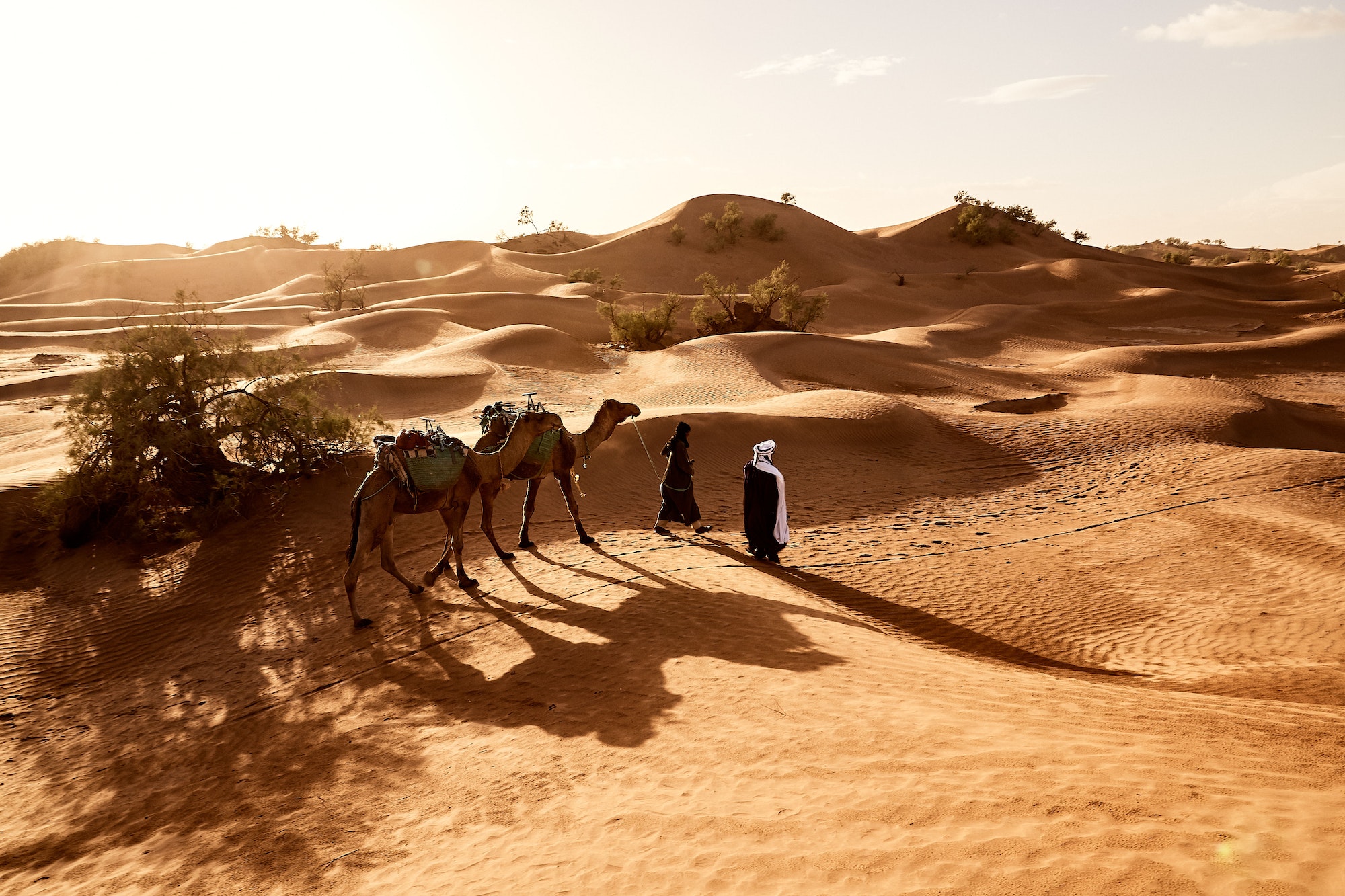 Beautiful shot of people walking with their camels in the desert of Erg Lihoudi in Morocco