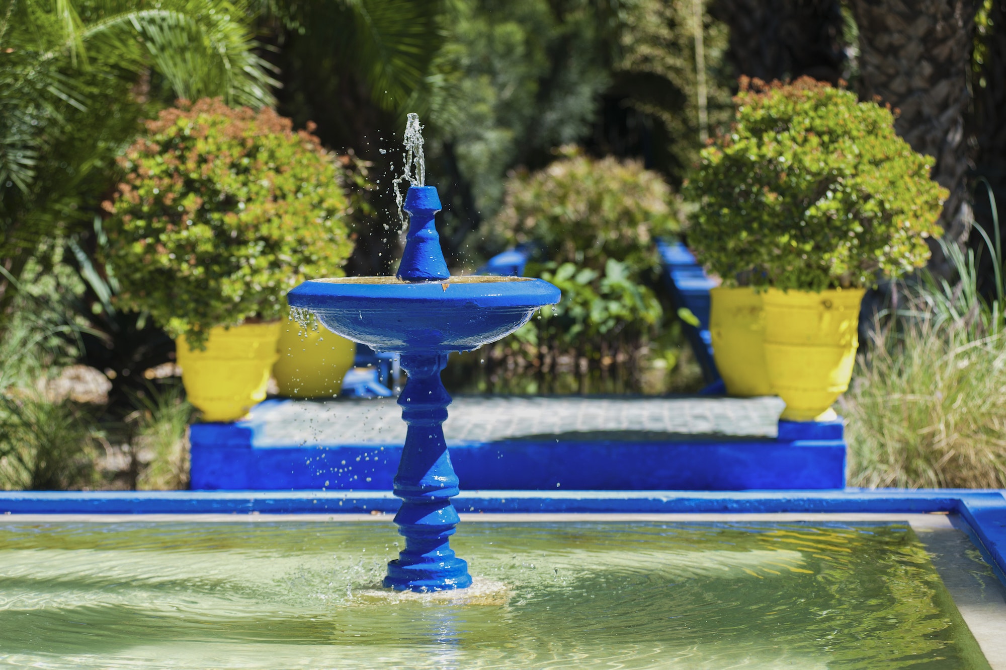 Blue fountain at Majorelle Garden, aka Garden of Yves Saint-Laurent, Marrakech (Marrakesh), Morocco, Sahara Desert Tour Marrakech to Fez