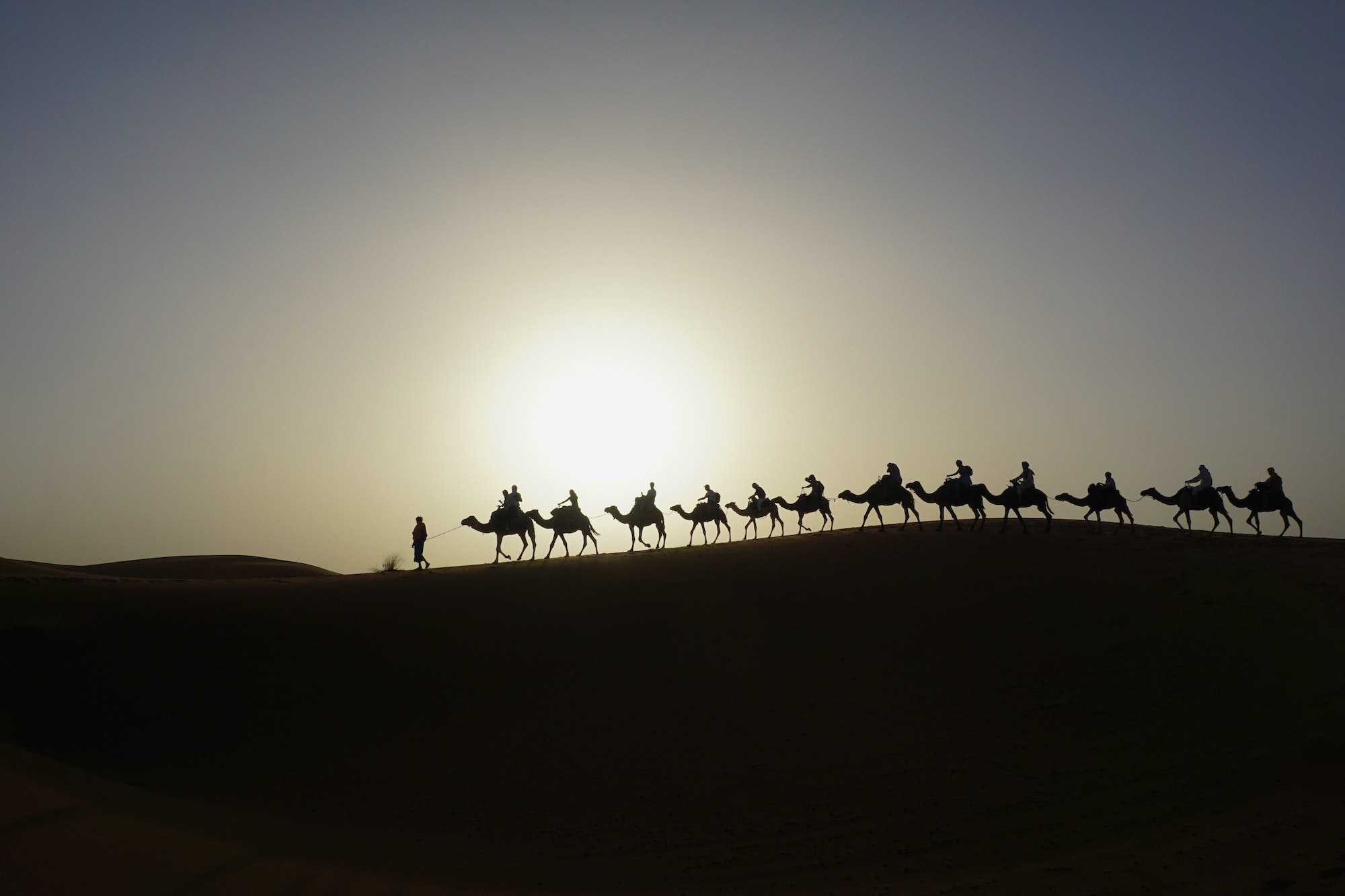 Camels in the Sahara, 5 day Morocco Express Tour from South to North