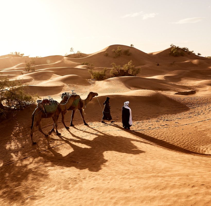 Beautiful shot of people walking with their camels in the desert of Erg Lihoudi in Morocco