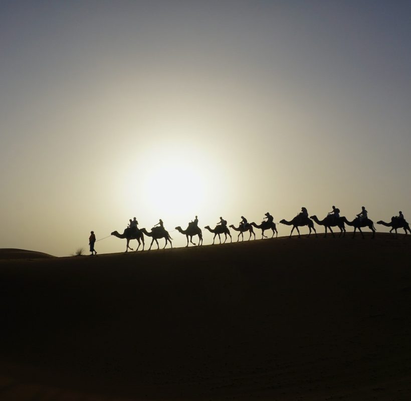 Camels in the Sahara, 5 day Morocco Express Tour from South to North
