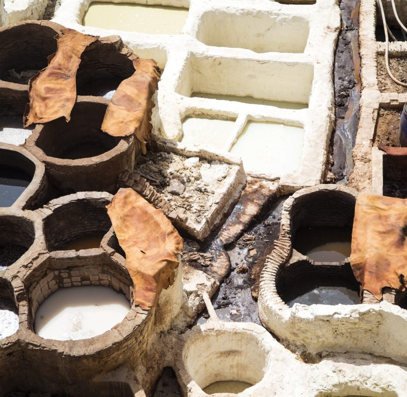 Tannery in Fez, Morocco, Fes to Sahara Desert Marrakech